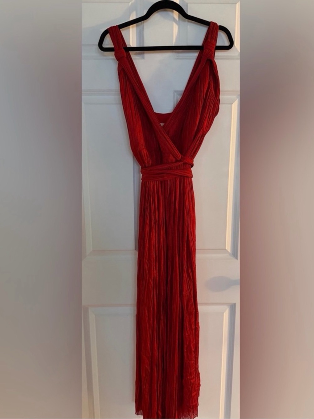 Maria Lucia Hohan Red dress!!
